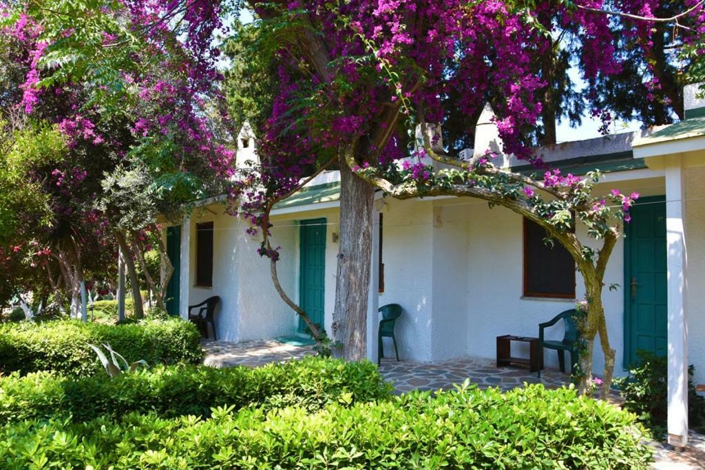 Myndos Bed & Breakfast 博德鲁姆 外观 照片